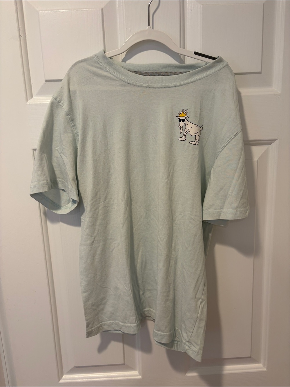Light blue boys Goat USA tshirt size XS